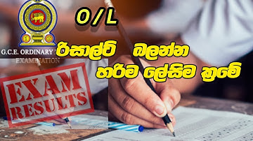 2024 O/L Result Release | 2025 Exam Result බලන්නේ මෙහෙමයි!