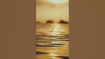 افتح صباحك بالسكينة.. تلاوة تبعث في قلبك نور الفجر ✨🌅
