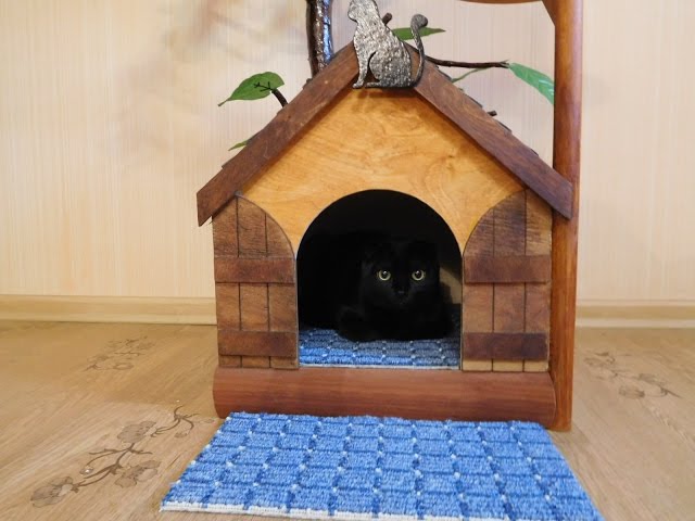 Домик для кошки из дерева (152 фото)