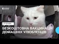 У Миколаєві волонтери безкоштовно вакцинують домашніх улюбленців