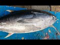 Cutting Fresh Tuna Fish | Tuna Fish Cutting Skill | Fish Cutting Skill