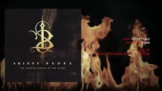 Skinny Puppy · The Greater Wrong Of The Right [Full Album HQ]