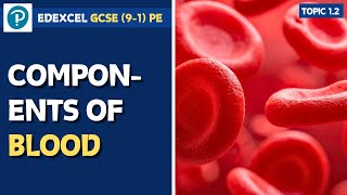 Edexcel Gcse Pe - Red And White Blood Cells, Platelets And Plasma - Cardio-Respiratory System 1.2
