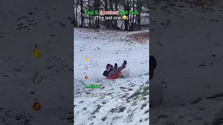 Top 5 Funniest Pet Fails | Try Not to Laugh 😂 #shorts