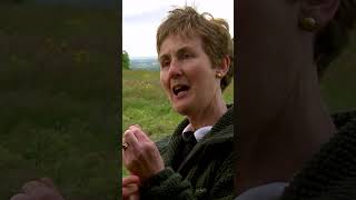 The Hill of Tara and St. Patrick