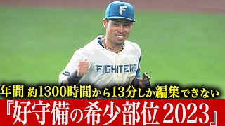 【約1300時間から】超レアです…『好守備の希少部位2023』【たった13分】