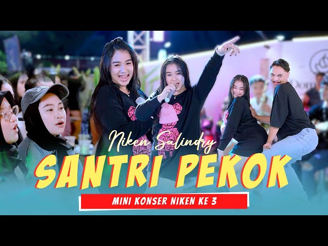 Niken Salindry - SANTRI PEKOK (Official Music Video ANEKA SAFARI) class=