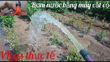 Đi tưới rẫy dâu tằm bằng máy cắt cỏ || use a lawn mower to water plants