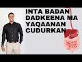 Inta badan dadkeena ma yaqaanan cudurkan colon