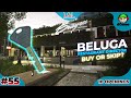 BELUGA KEY - CAN 10 OPENINGS MAKE YOU RICH IN TARKOV?