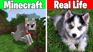 MINECRAFT/Realistic minecraft /Dogs in minecraft /Realistic water /minecraft realistic texture pack screenshot 5