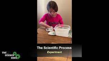 Daily Dose of Science: Sink or Float