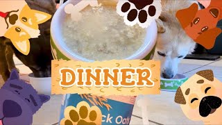 I Made Dinner for My Dogs | Simply Ena 🐶