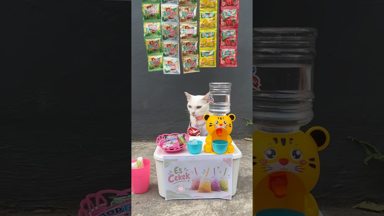 Ngerusuh muluu #cat #kucing #kucinglucu #catvideos #youtubeshorts