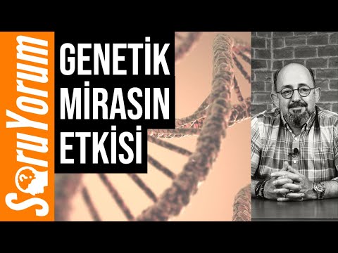 Video: Davranış genetik midir?