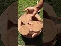 who Likes mud biscuits 😋#viral #shorts #mitti #soil #mud #multanimitti #oddlysatisfying