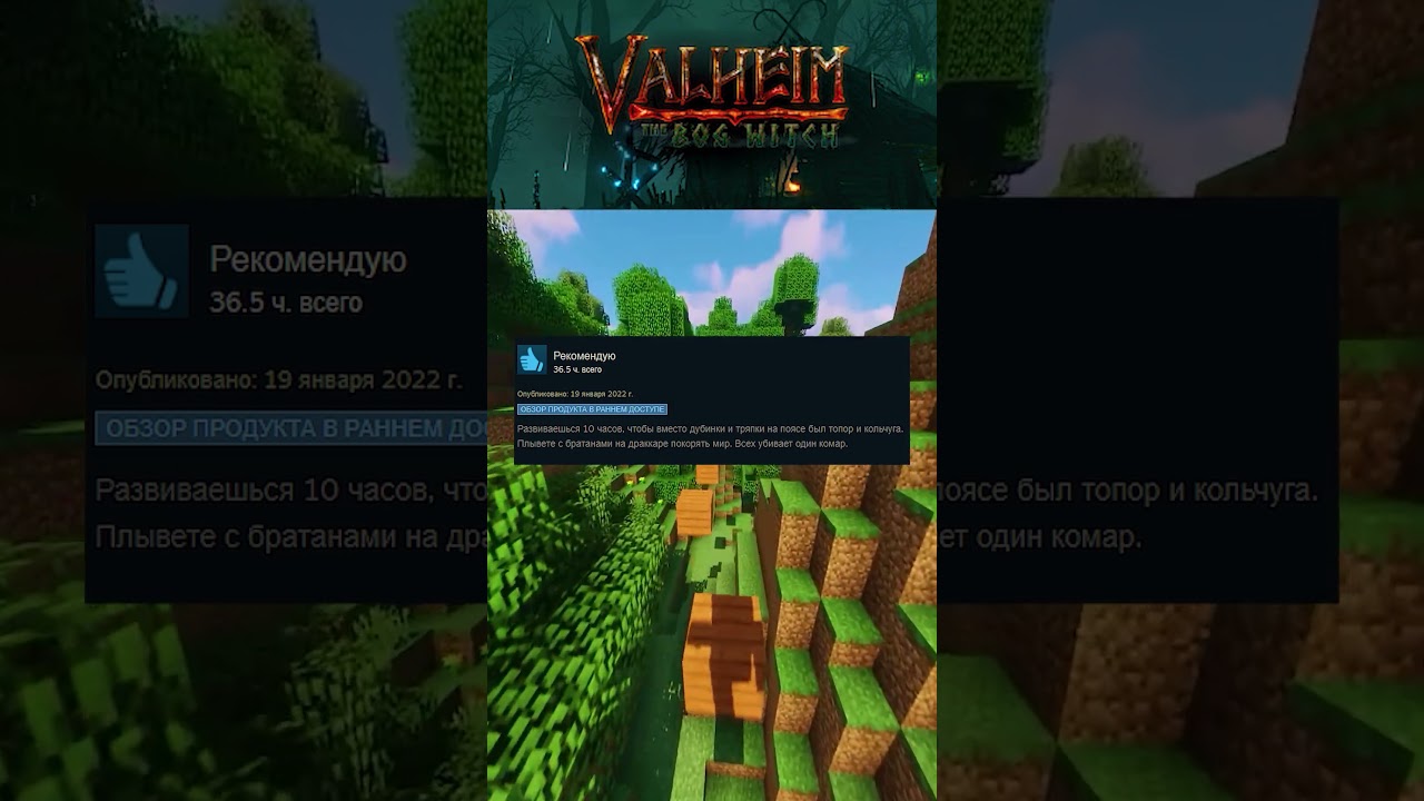 Отзывы Steam о игре VALHEIM 