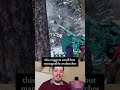 Why the Army is Shooting at Mountains!