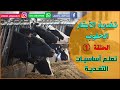 Episode 1 Learn The Basics Of Dairy Cow Nutrition 01 Dairy Cow Nutrition 