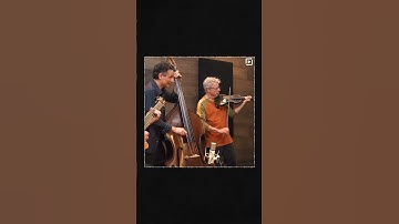Thumbnail of Monday Motivator, 8/21/23: Darol Anger, John Patitucci, Martin Taylor, & Howard Levy || ArtistWorks