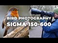 Bird Photography with Sigma 150-600mm and Nikon D7500