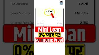 Mini Loan App screenshot 2