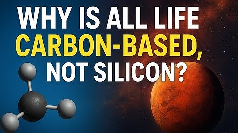 Carbon vs Silicon: The 3 Shocking Truths You Never Learned