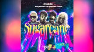Sugarcane Remix - Camidoh (Acapella)