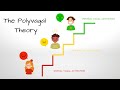 What is the Polyvagal Theory?