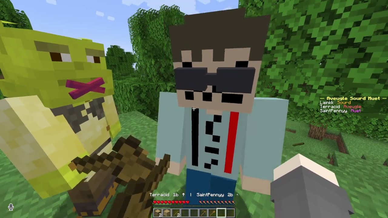 VOD - Laink et Terracid // Minecraft (Sourd, Aveugle, Muet)