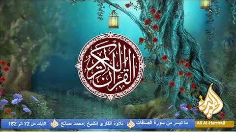سورة الصافات _ محمد صالح اليمني