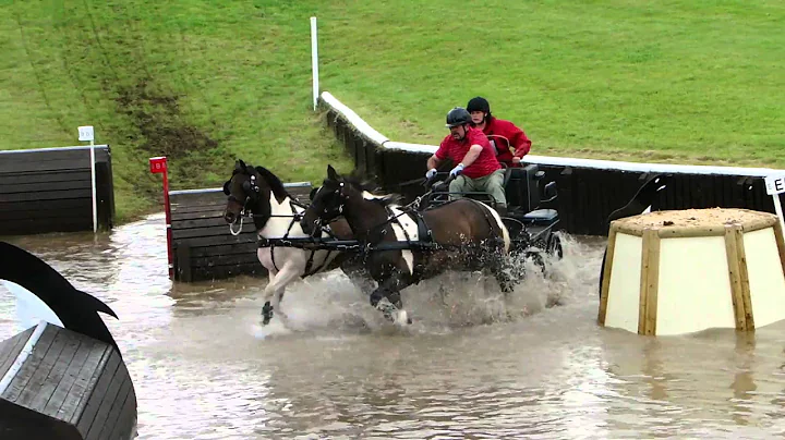 Necarne 2010 - Terry Logan Ob2