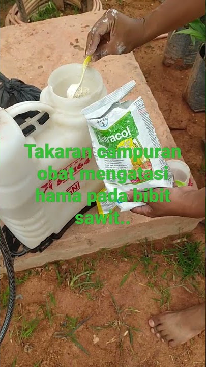 takaran campuran obat dalam mengatasi penyakit pada bibit sawit