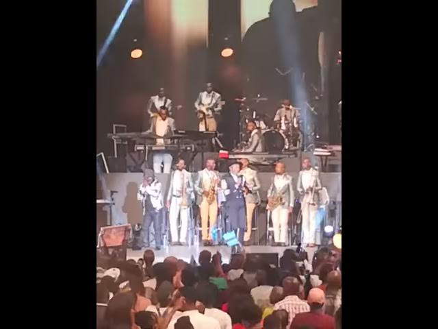 Joyous celebration 24