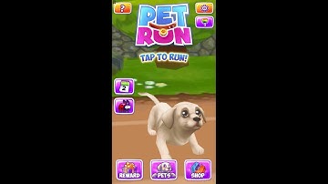 Pet Run - Puppy Dog Game