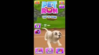 Pet Run - Puppy Dog Game screenshot 1