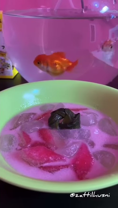 Kolang kaling v delima