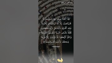 قراءة ما تيسر من سورة البقرة برواية قالون عن نافع