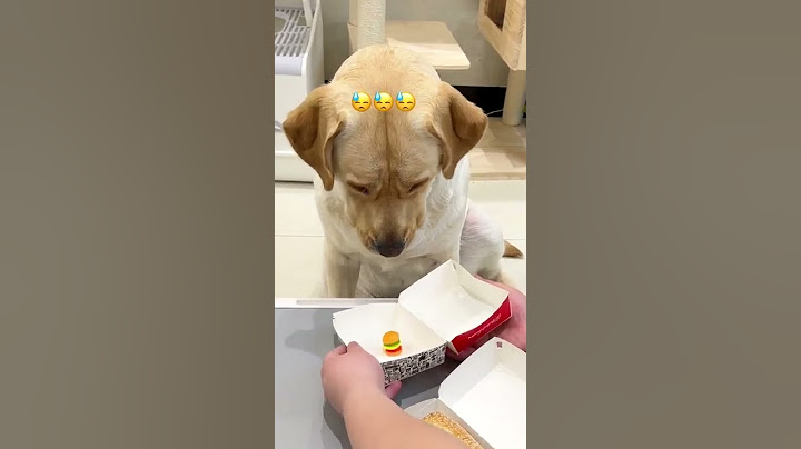 狗子從期待到翻白眼的經典演繹#動物圖鑑 - 天天要聞