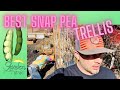 Snap Peas, Cheap and EASY Trellis | Snap Pea Trellis | DIY Trellis
