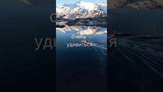 выбрали свой путь ? #выбор #свой #путь #мудрость #шортс