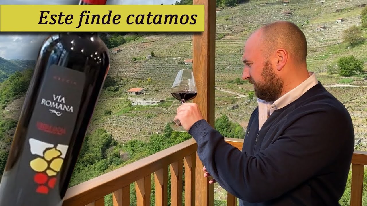 Vino Ribeira Sacra: "Mencia"