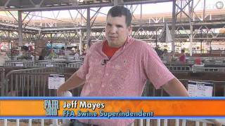 FFA Swine Show - Iowa State Fair 2010 image