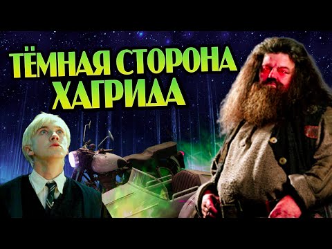 Что Рубеус Хагрид скрыл от Гарри Поттера?