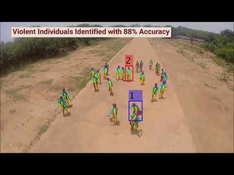 Eye in the Sky: Real-time Drone Surveillance System (DSS) for Violent Individuals Identification