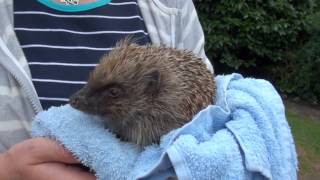 Pricklepad Tinkertown 30-05-2012