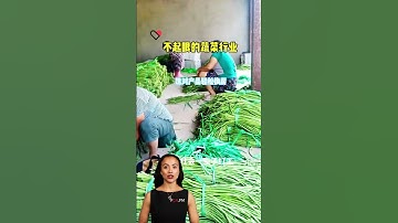 #fcnfm Transform Your Food Processing with Our Efficient Drying Equipment