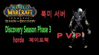 와우클래식 디스커버리  도적pvp