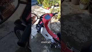 astrea grand bulus 1991