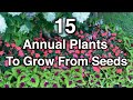 15 Annual flowers you should grow from seeds. This is why!